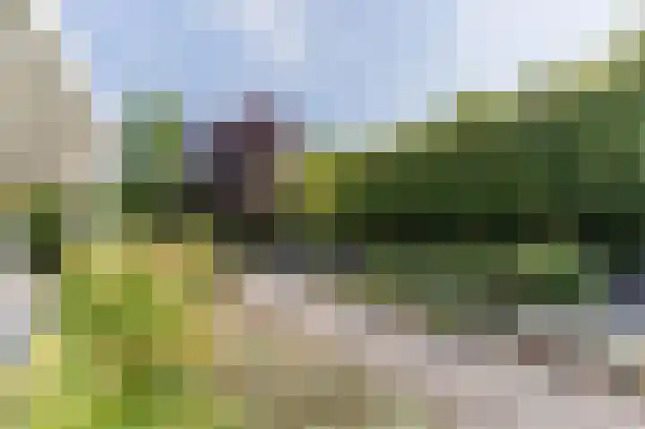 Kollenberg 40 Esch thumbnail 9