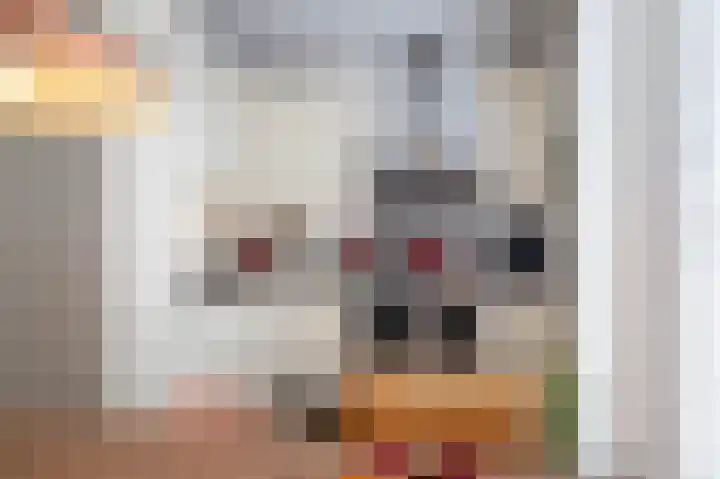 Kollenveldsweg 13 Almelo thumbnail 12