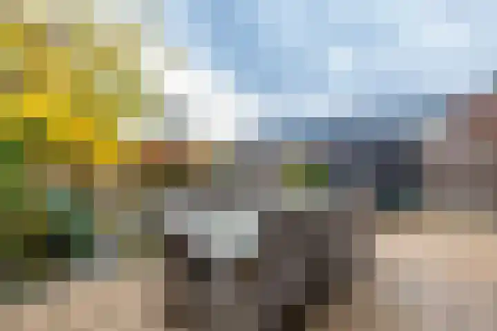Kollenveldsweg 13 Almelo thumbnail 22