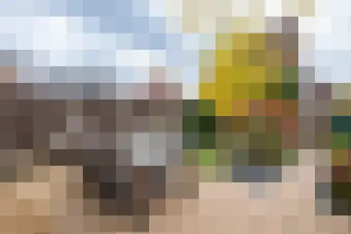 Kollenveldsweg 13 Almelo thumbnail 23