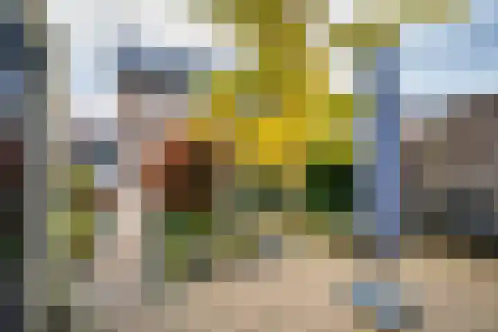 Kollenveldsweg 13 Almelo thumbnail 24