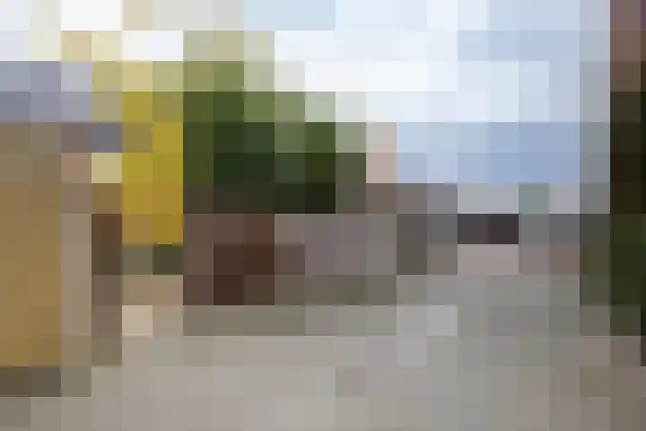Kollenveldsweg 13 Almelo thumbnail 25