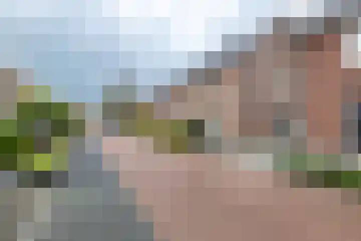 Kollenveldsweg 13 Almelo thumbnail 28
