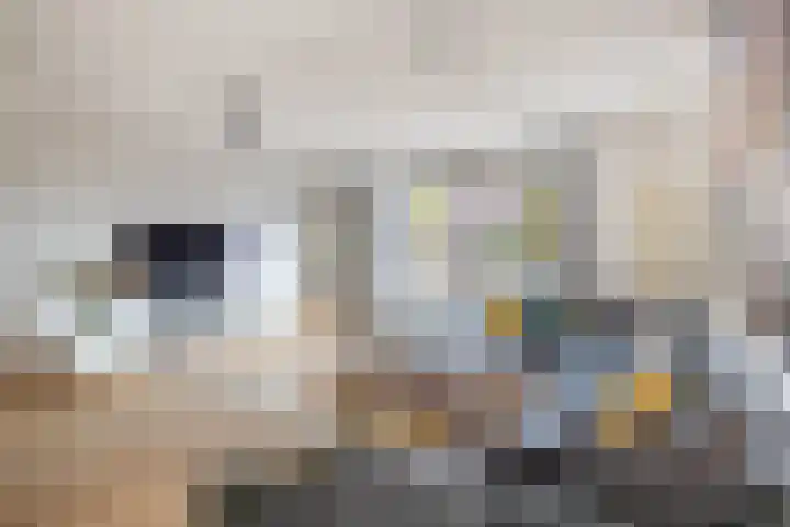 Kollenveldsweg 13 Almelo thumbnail 6