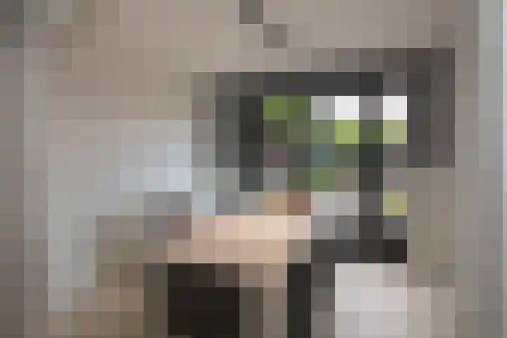 Kollenveldsweg 14 Almelo thumbnail 22