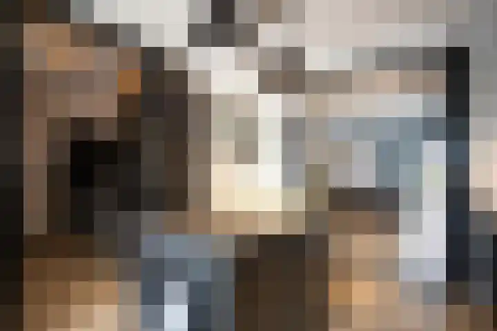 Kollenveldsweg 14 Almelo thumbnail 27
