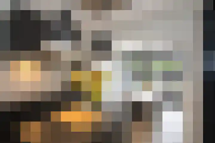 Kollenveldsweg 14 Almelo thumbnail 30