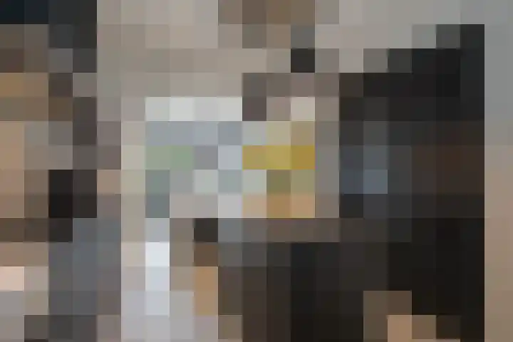 Kollenveldsweg 14 Almelo thumbnail 31