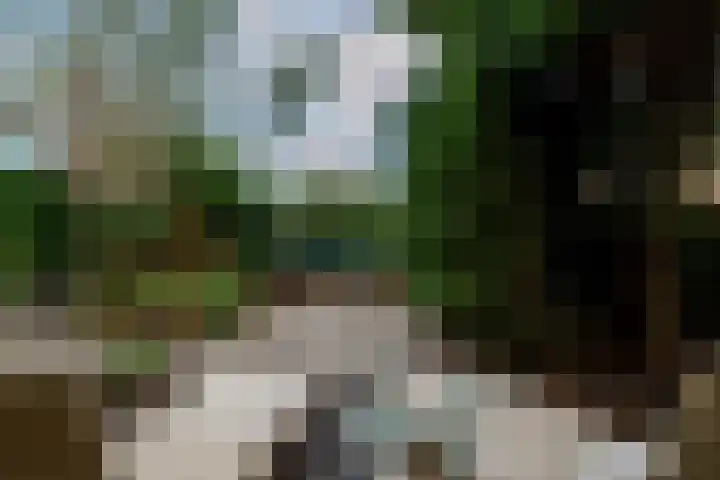 Kollenveldsweg 14 Almelo thumbnail 33