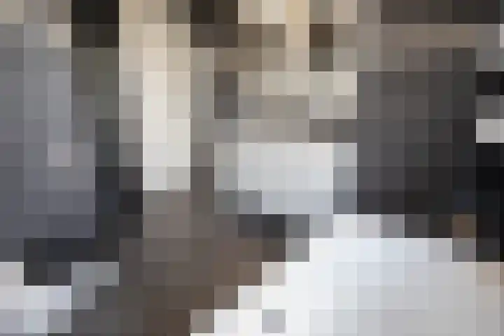 Kollenveldsweg 14 Almelo thumbnail 36