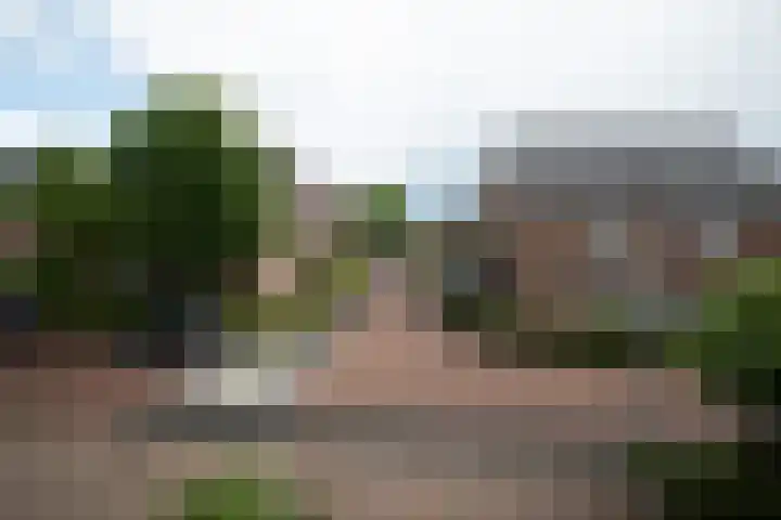 Kollenveldsweg 14 Almelo thumbnail 42