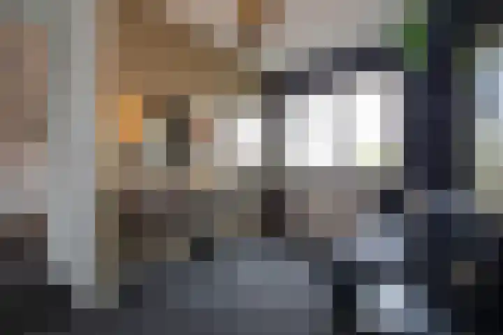 Kollenveldsweg 14 Almelo thumbnail 44