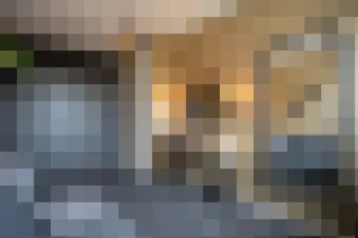 Kollenveldsweg 14 Almelo thumbnail 45