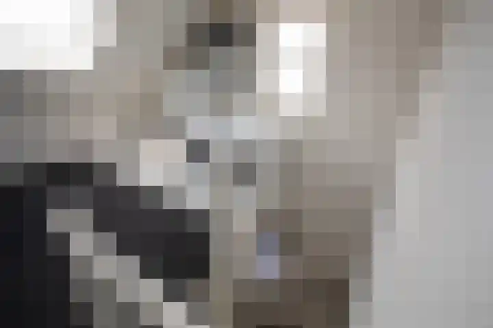 Kollenveldsweg 14 Almelo thumbnail 46