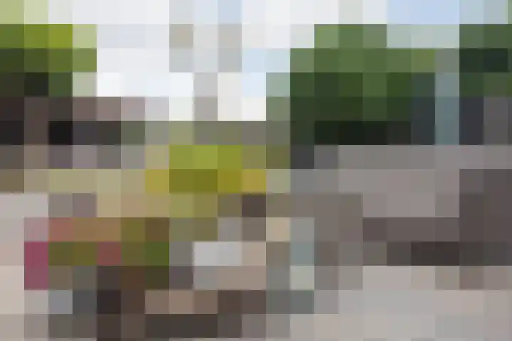 Kollenveldsweg 14 Almelo thumbnail 55