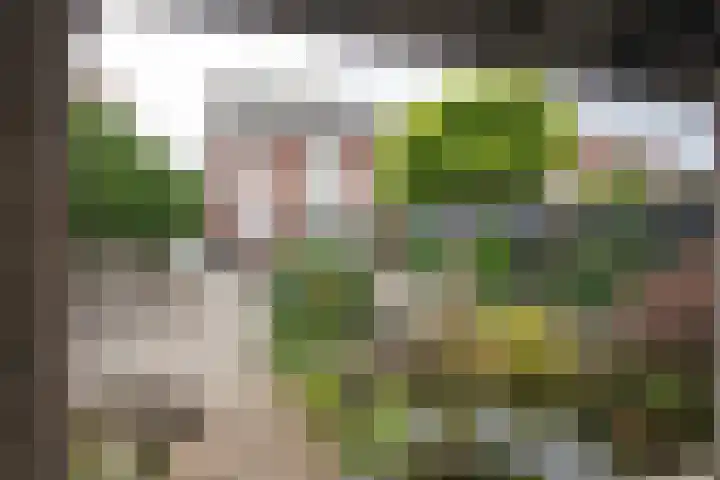 Kollenveldsweg 14 Almelo thumbnail 57