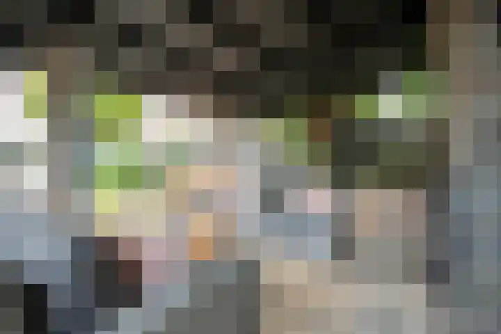 Kollenveldsweg 14 Almelo thumbnail 58