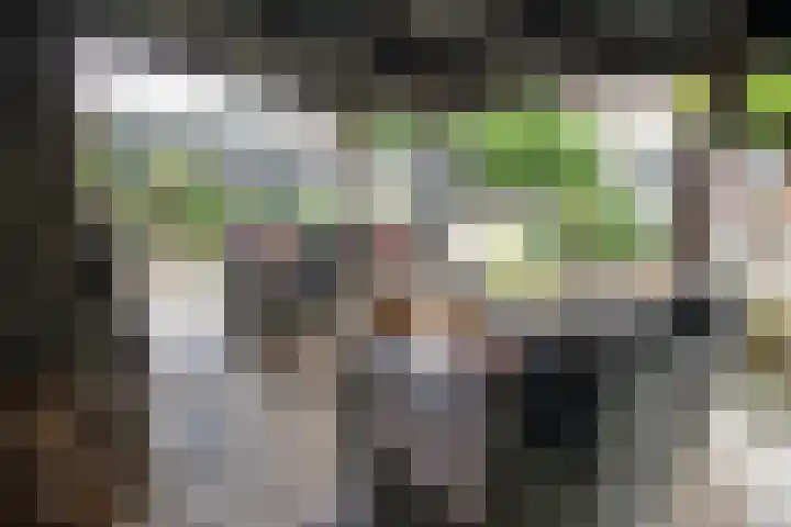 Kollenveldsweg 14 Almelo thumbnail 59