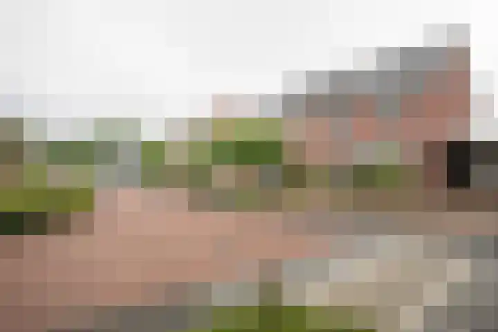 Kollenveldsweg 14 Almelo thumbnail 6