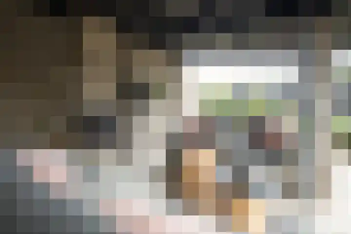 Kollenveldsweg 14 Almelo thumbnail 60