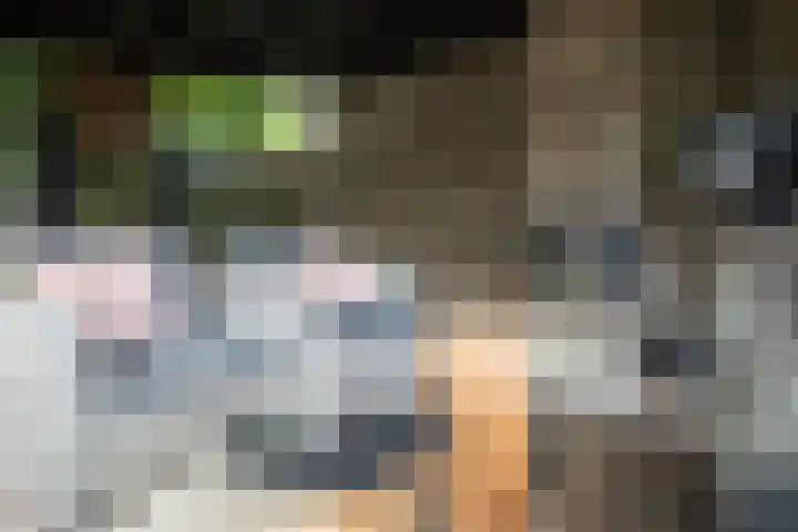 Kollenveldsweg 14 Almelo thumbnail 61