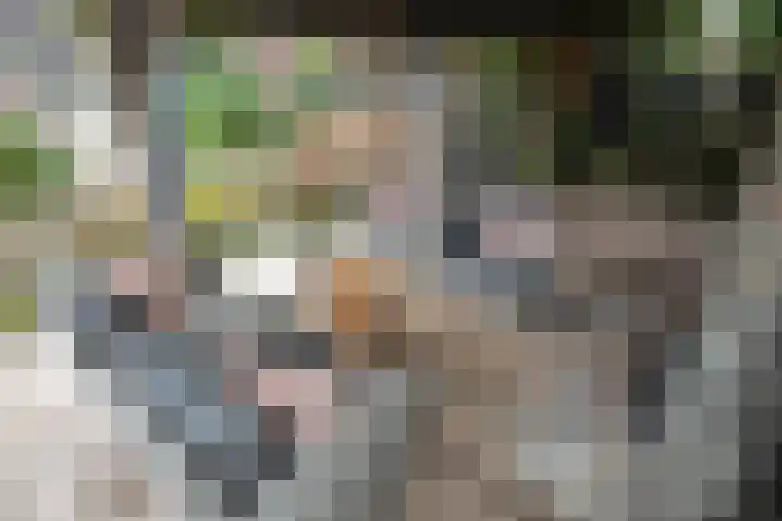 Kollenveldsweg 14 Almelo thumbnail 62