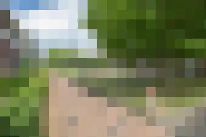 Kollenveldsweg 14 Almelo thumbnail 63