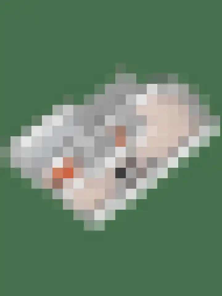 Kollenveldsweg 14 Almelo thumbnail 65