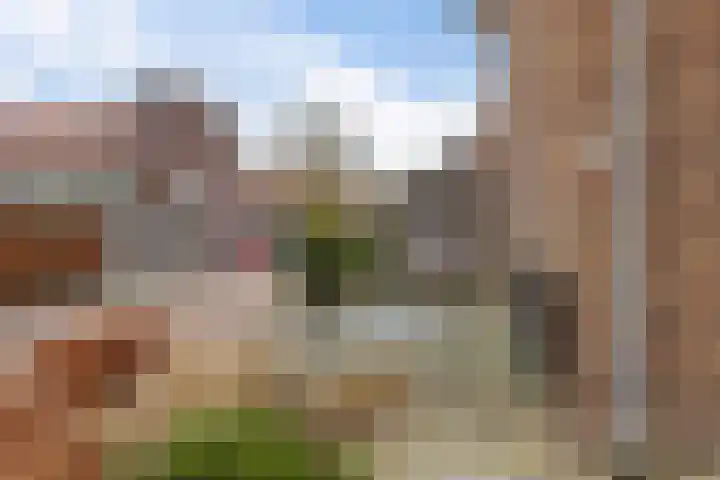 Kollenveldsweg 15 Almelo thumbnail 13