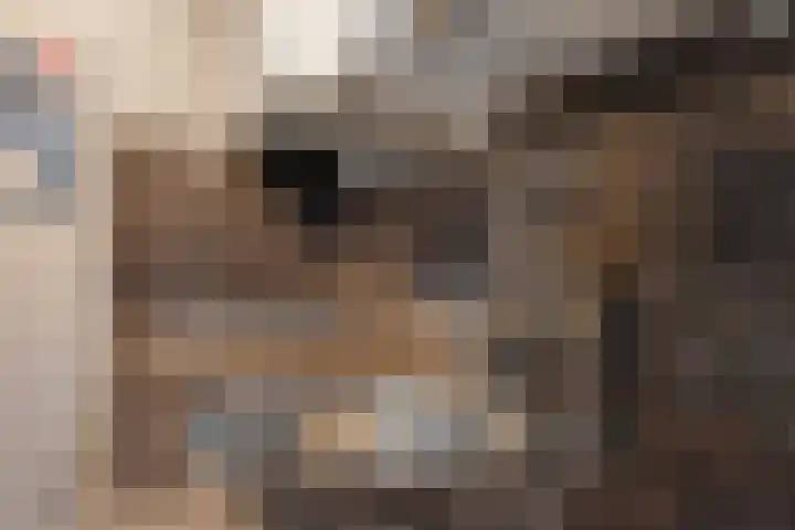Kollenveldsweg 15 Almelo thumbnail 24