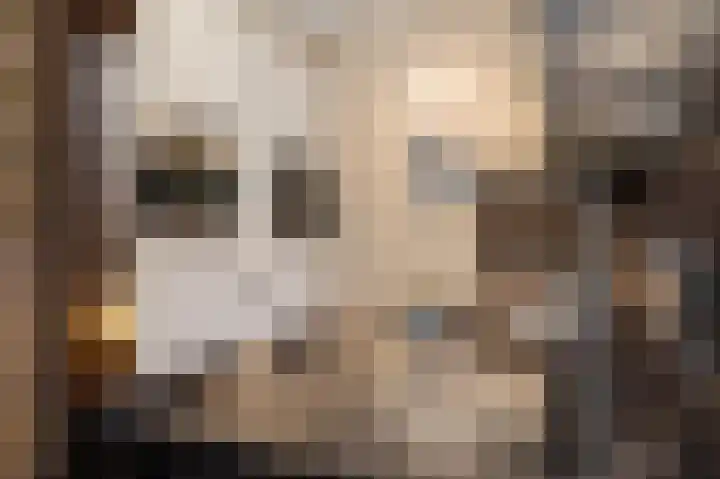 Kollenveldsweg 15 Almelo thumbnail 25