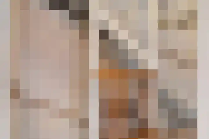 Kollenveldsweg 15 Almelo thumbnail 27