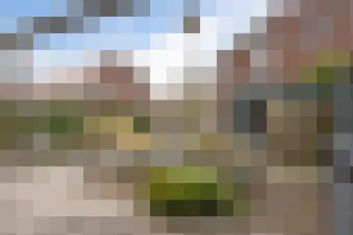 Kollenveldsweg 15 Almelo thumbnail 39