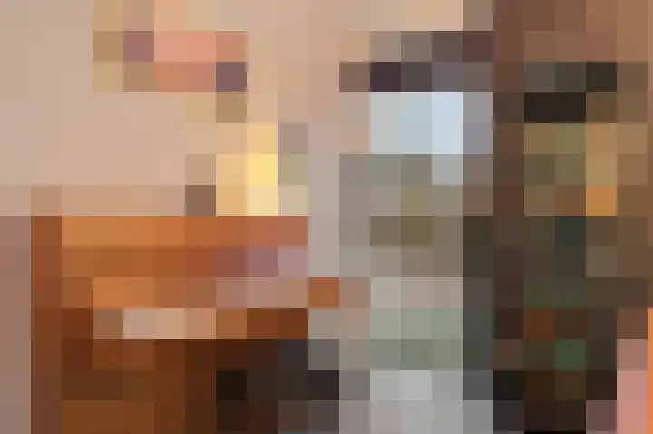 Kollenveldsweg 15 Almelo thumbnail 4