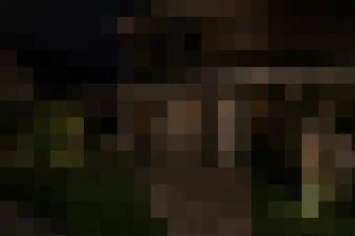Kollergang 21 Leerdam thumbnail 41