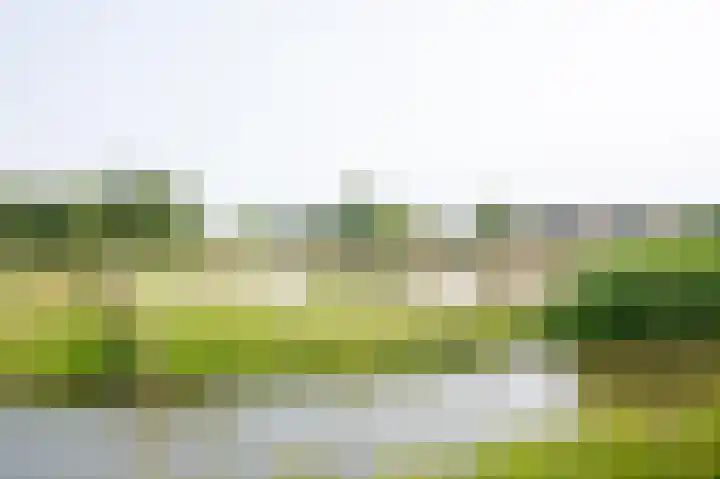 Kollergang 21 Leerdam thumbnail 43