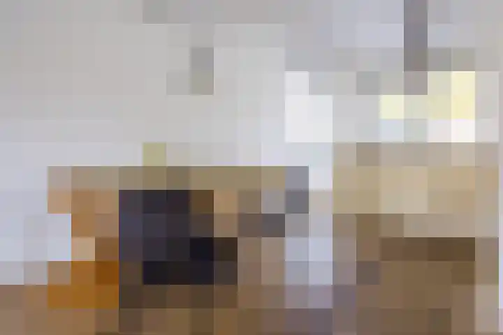 Kollermolen 21 Gennep thumbnail 13