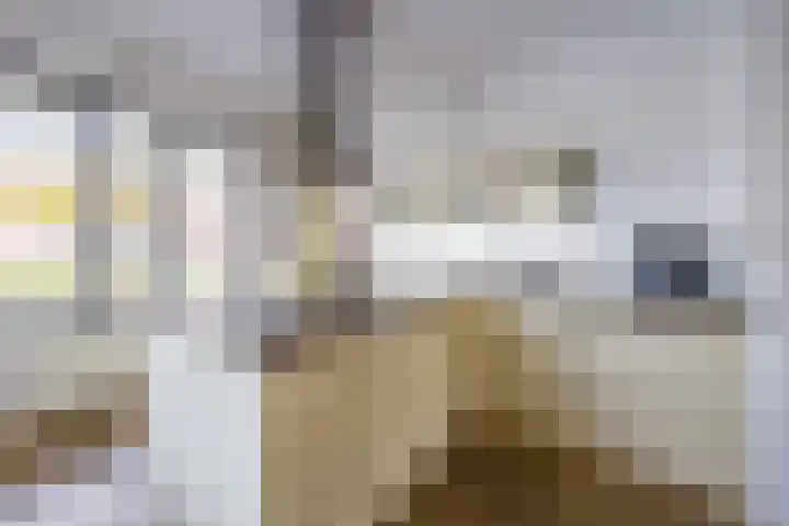 Kollermolen 21 Gennep thumbnail 15