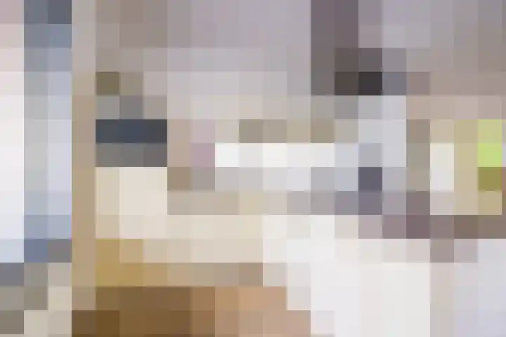 Kollermolen 21 Gennep thumbnail 16
