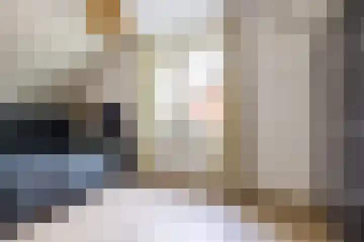 Kollermolen 21 Gennep thumbnail 22