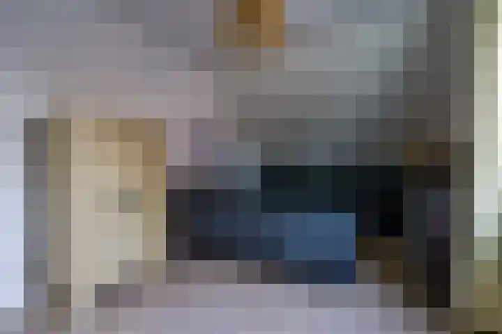 Kollermolen 21 Gennep thumbnail 23