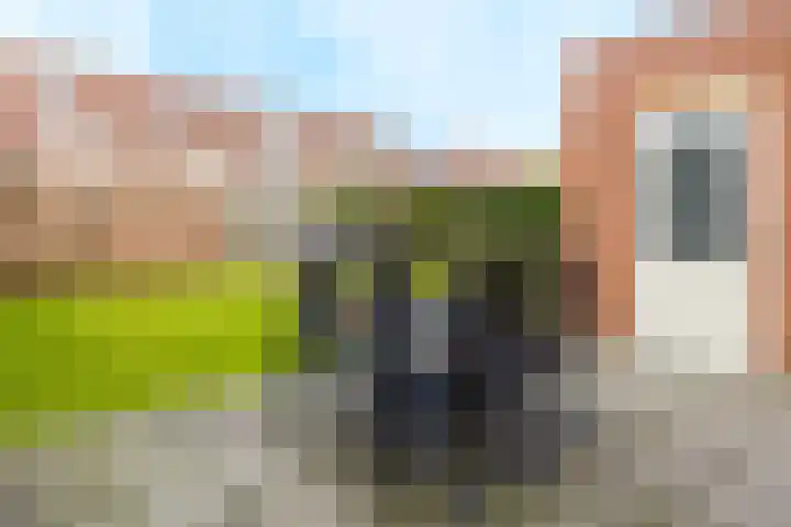 Kollermolen 21 Gennep thumbnail 31