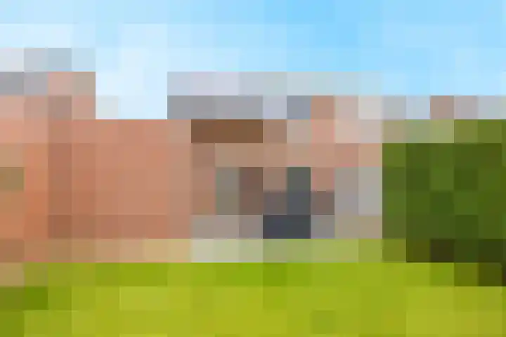 Kollermolen 21 Gennep thumbnail 37