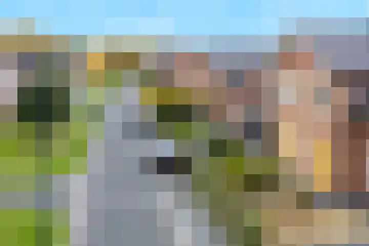 Kollermolen 21 Gennep thumbnail 48