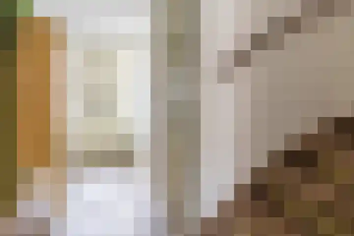 Kollermolen 21 Gennep thumbnail 5