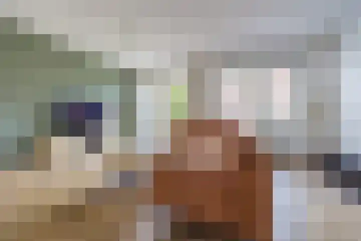 Kollermolen 21 Gennep thumbnail 9