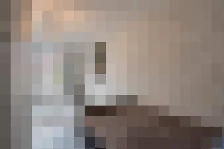 Kollershoeve 15 Helmond thumbnail 20