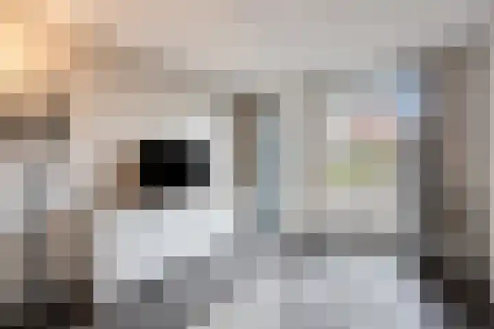 Kollershoeve 15 Helmond thumbnail 21