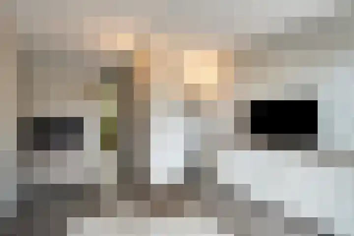 Kollershoeve 15 Helmond thumbnail 22