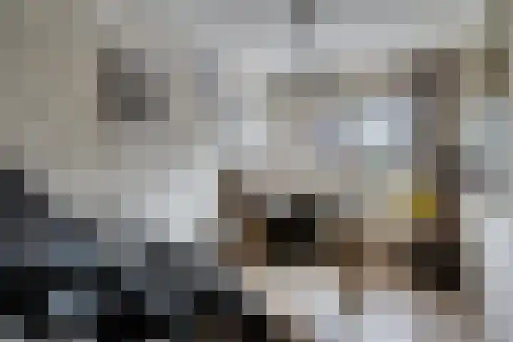 Kollershoeve 15 Helmond thumbnail 30